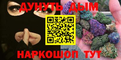 крисы Кингисепп