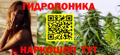 Альфа ПВП Кинель