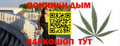 крисы Кингисепп