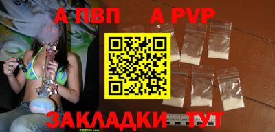 крисы Кингисепп