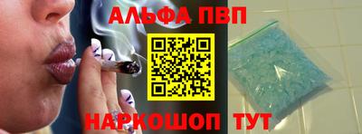 крисы Кингисепп