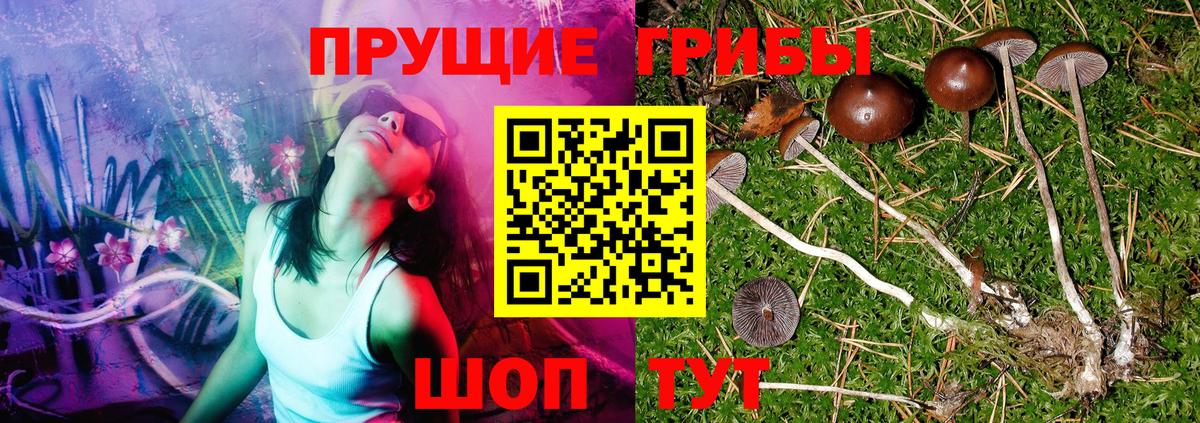 Галлюциногенные грибы мухоморы Учалы