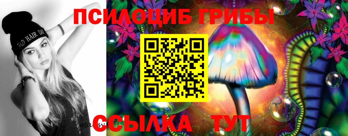 Псилоцибиновые грибы Psilocybe  Псилоцибиновые грибы MAGIC MUSHROOMS  Учалы 